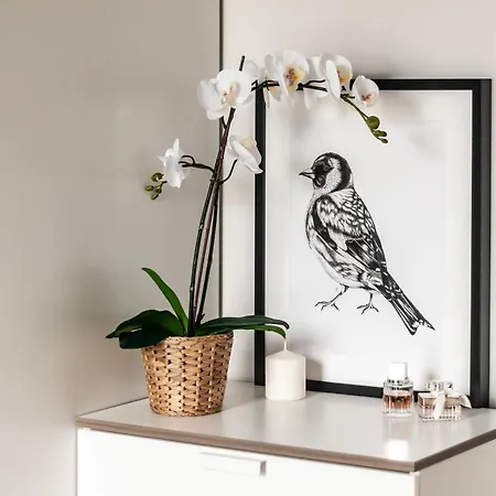 Jana Kazimierza 50 * Варшава